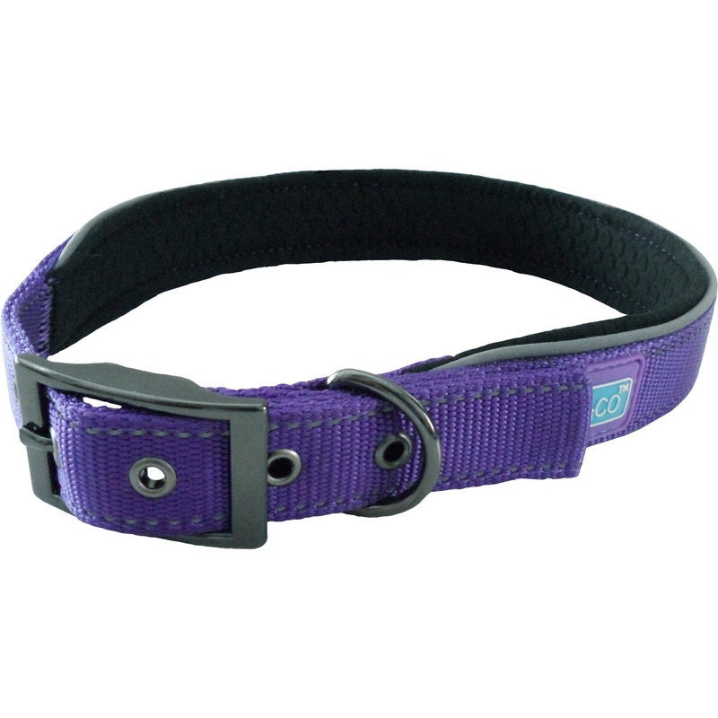 D&C Padded Collar Purple Large