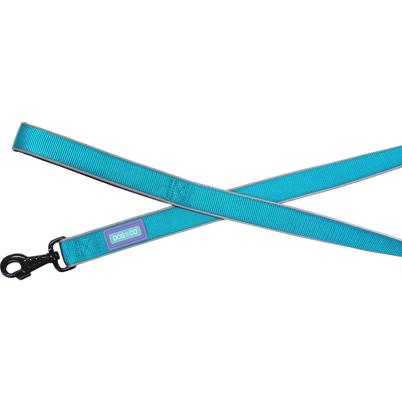 Dog & Co Padded Reflective Lead Aqua 5/8"