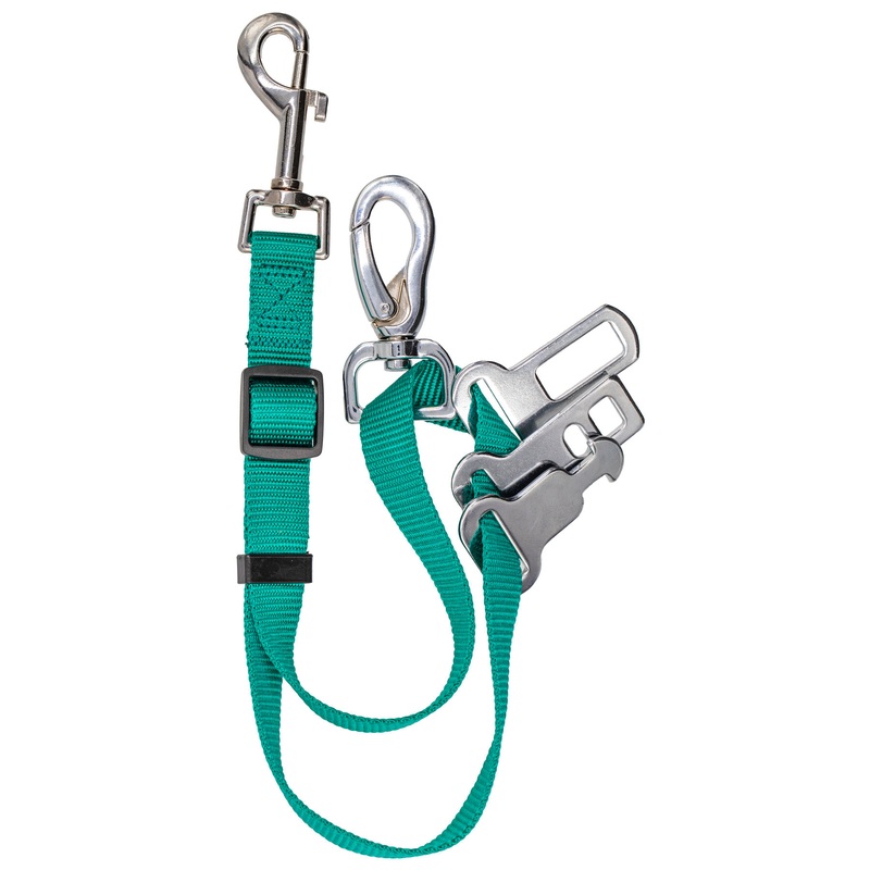 Isofix Universal Car Restraint - Teal