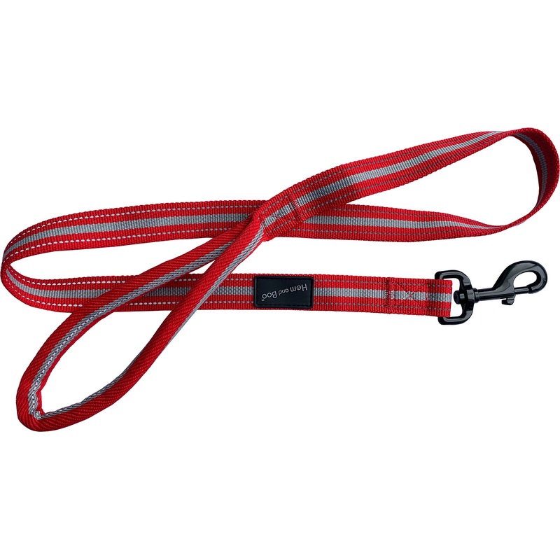 Sports Lead With Reflective Strip Red 1" x 48"