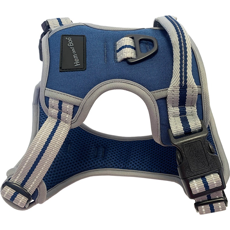XL Sports Harness Blue