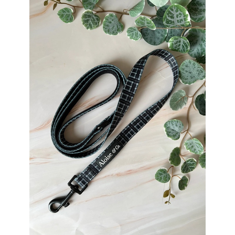 A&C Lead Black Tartan