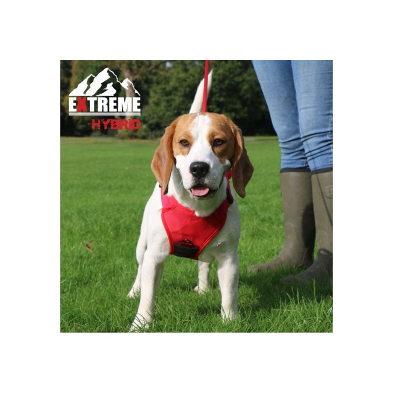 Extreme Hybrid Harness Poppy Red XL