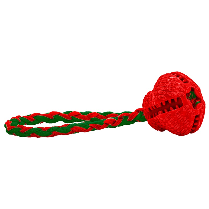 Festive TPR Dog Treat Bell