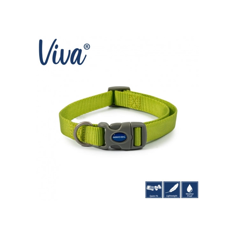 Nylon Adjustable Collar in Lime Size 2-5