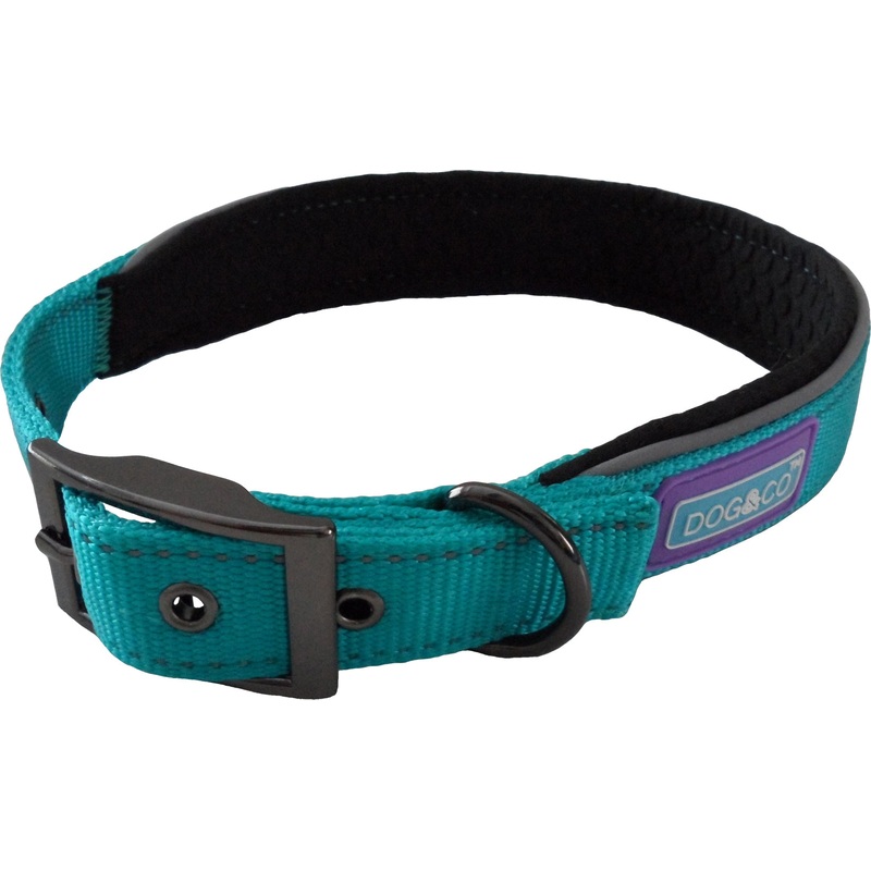 D&C Padded Collar Aqua Large