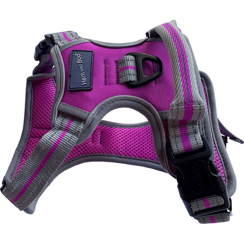 Sports Harness Purple X Large