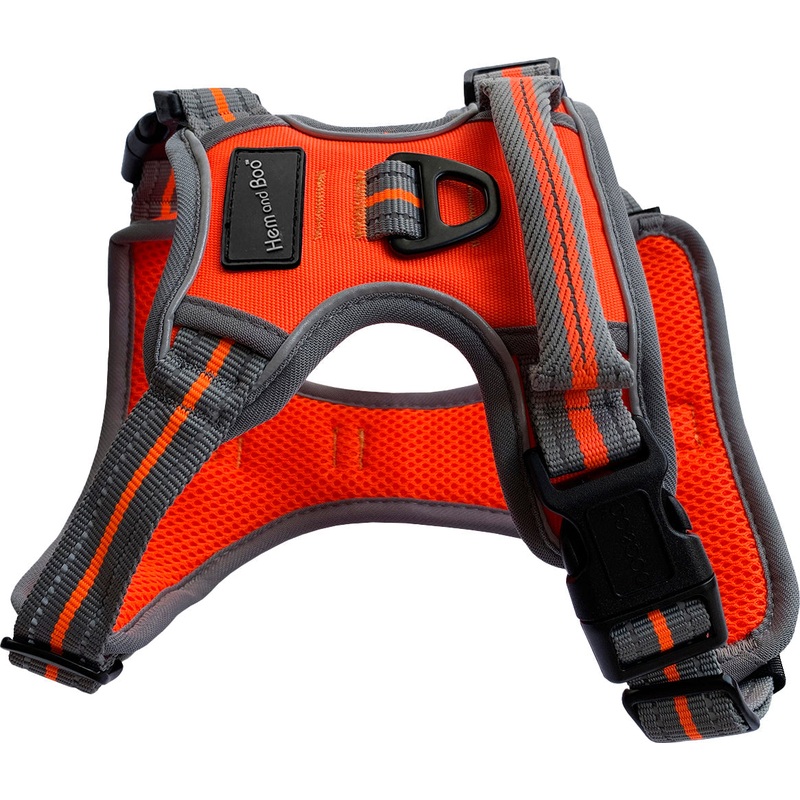 XL Sports Harness Orange