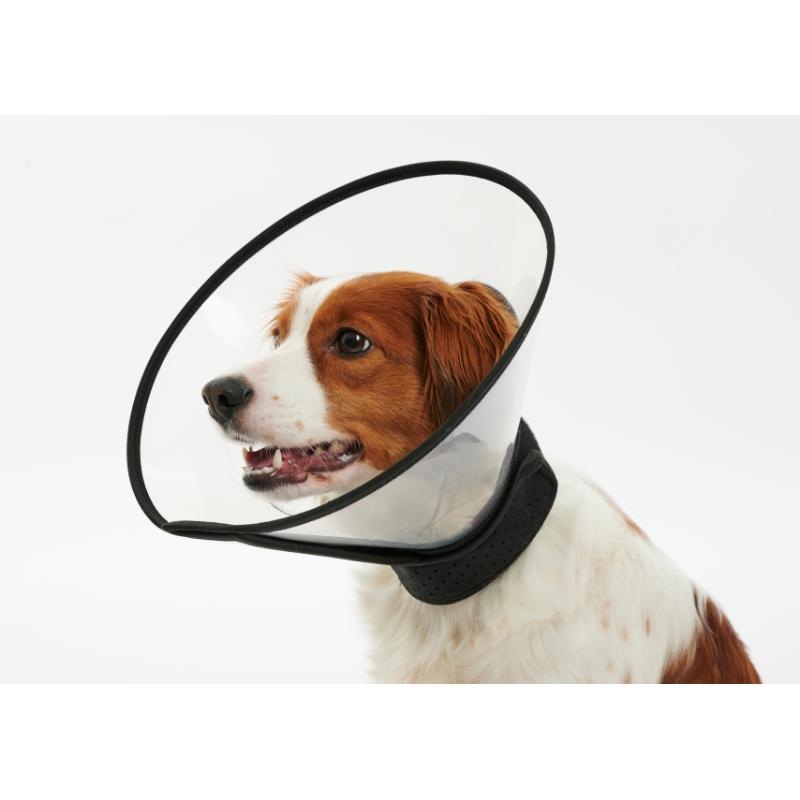 Complete Collar (7 sizes)