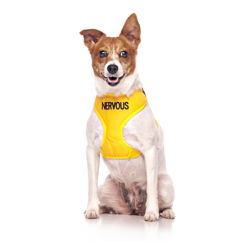 "Nervous" Dog Vest Harness by Friendly Dog Collars