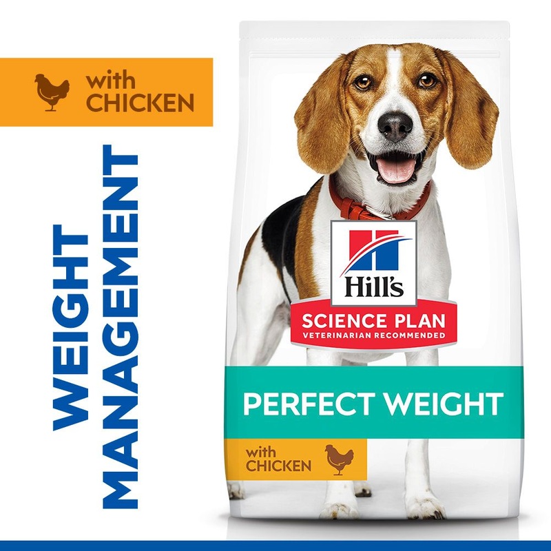 Hill's Science Plan Perfect Weight Adult Medium Breed Dry Dog Food with Chicken 12kg