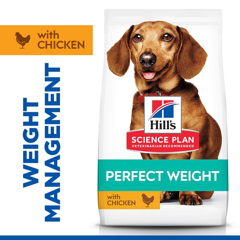 Hill's Science Plan Perfect Weight Adult Small & Mini Breed Dry Dog Food with Chicken 6kg