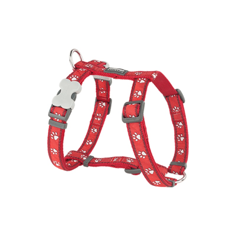 Red Dingo Desert Paw Red Dog Harness