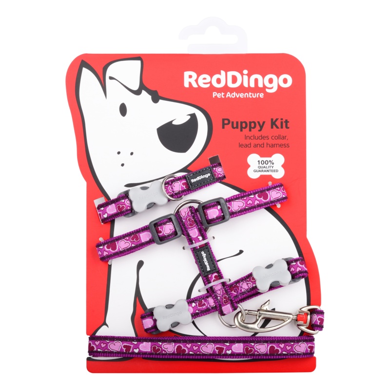 Red Dingo Puppy Kit Breezy Love Purple