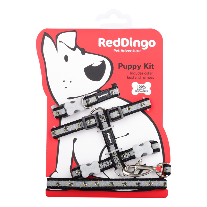 Red Dingo Puppy Kit Bumble Bee Black