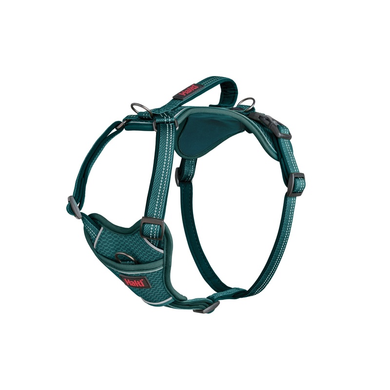 Halti Anatomy Harness Teal (5 sizes)