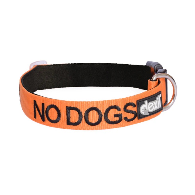 "No Dogs" Dog Collar by Friendly Dog Collars