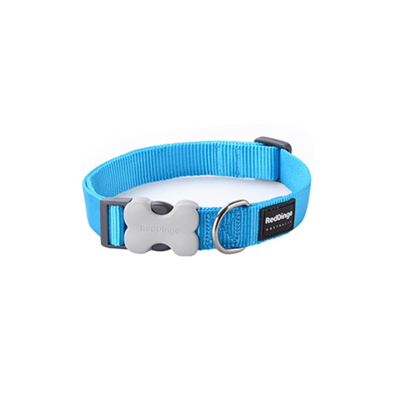 Red Dingo Classic Turquoise Dog Collar