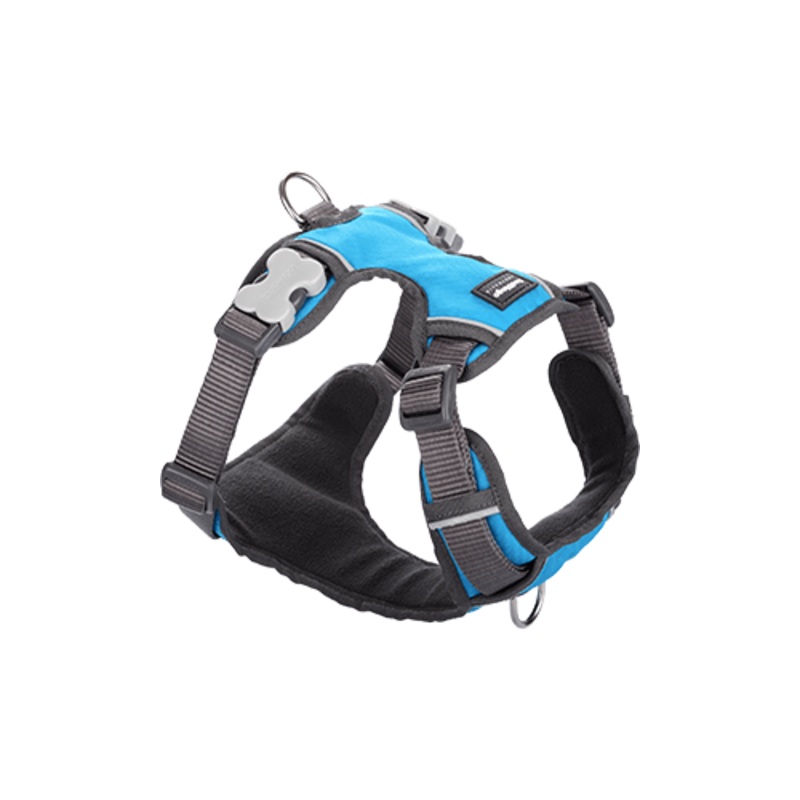 Red Dingo Padded Turquoise Dog Harness