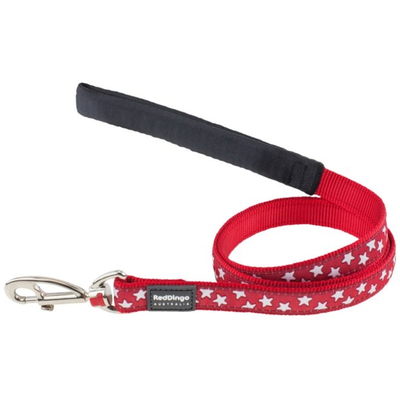 Red Dingo White Star Red Dog Lead