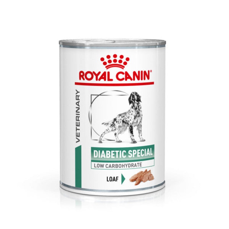ROYAL CANIN Diabetic Special Low Carbohydrate Adult Wet Dog Food In Loaf