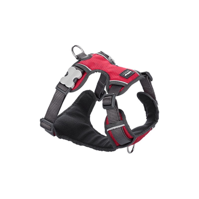Red Dingo Padded Red Dog Harness