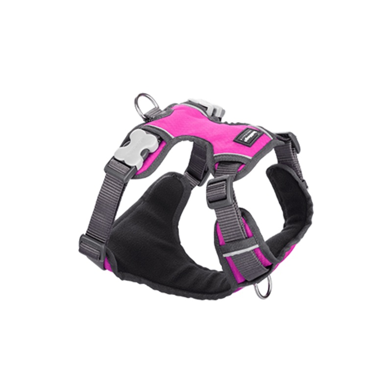 Red Dingo Padded Hot Pink Dog Harness