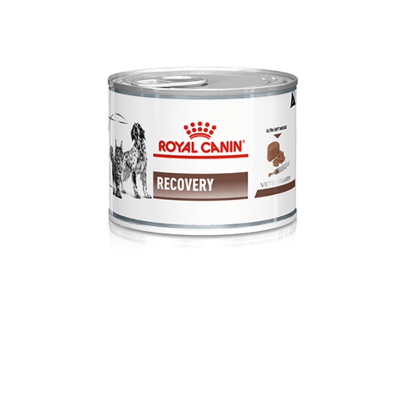 ROYAL CANIN Recovery Adult Wet Dog & Cat Food