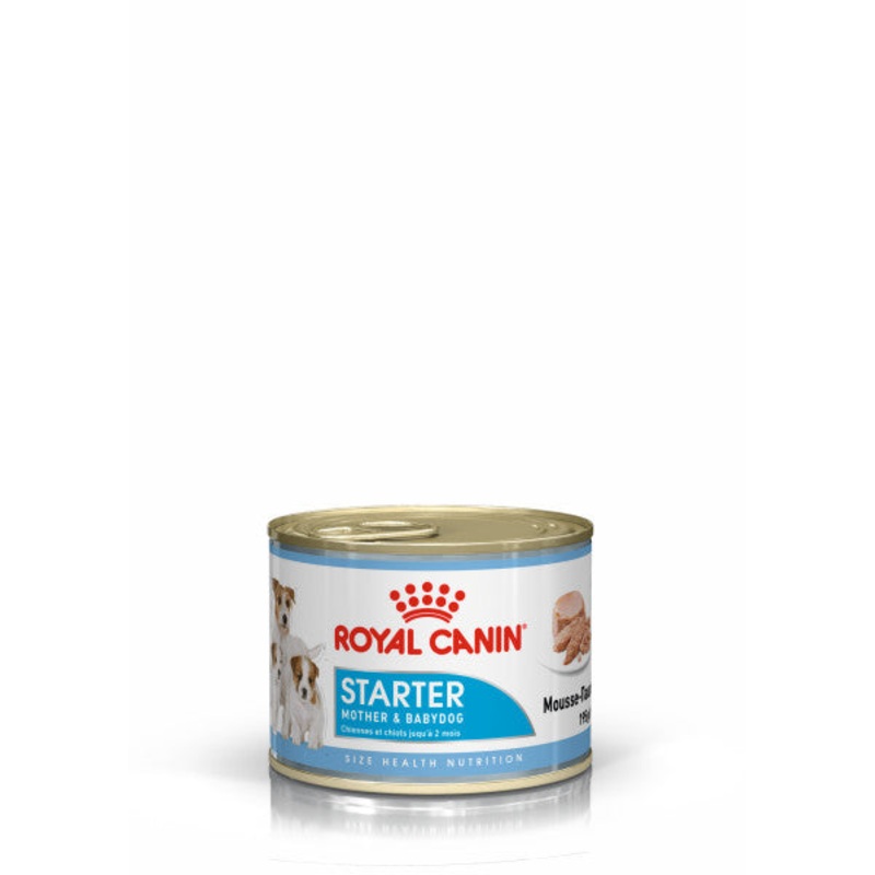 ROYAL CANIN Starter Mousse for Mother & Babydog Wet Dog Food