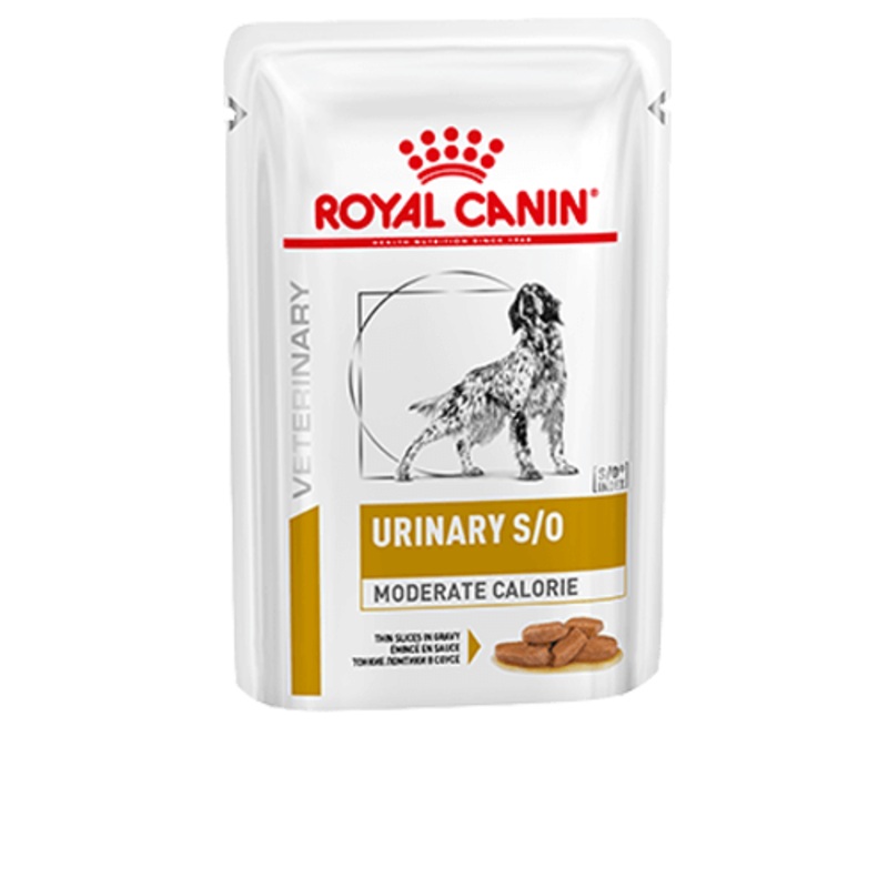 ROYAL CANIN Canine Urinary S/O Moderate Calorie Thin Slices in Gravy Adult Wet Dog Food