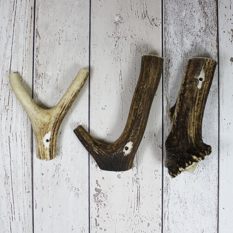 Antler Chews