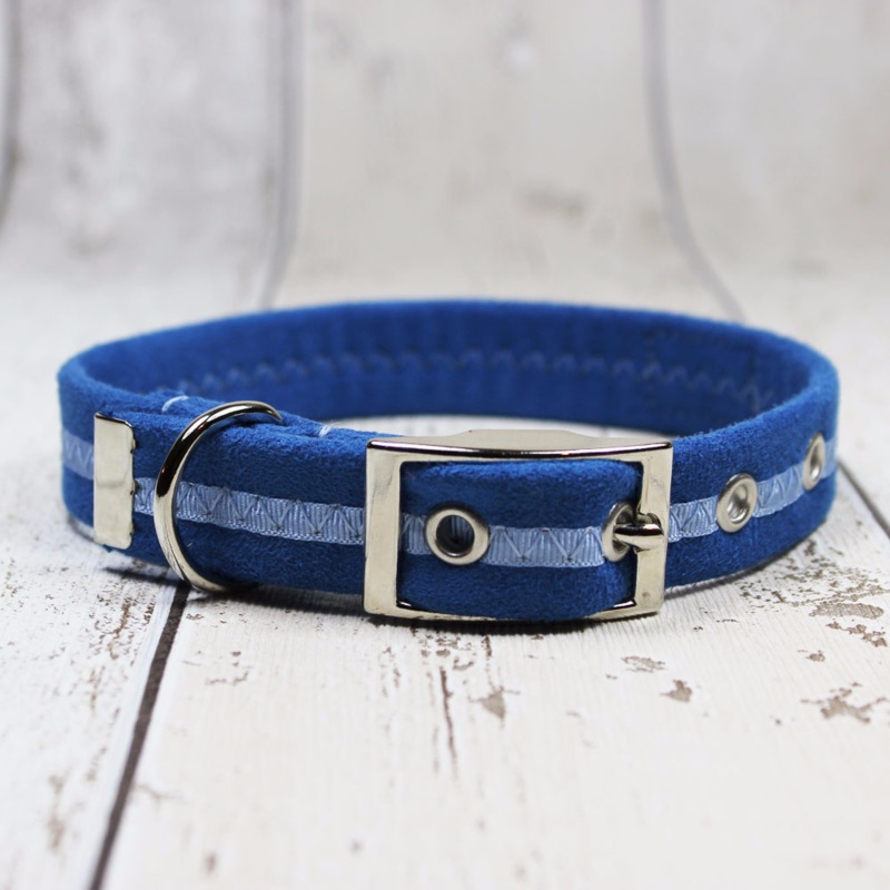 Blue Oscar and Hooch Dog Collar