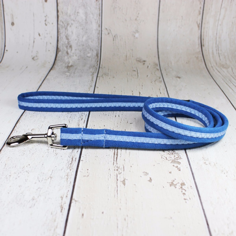 Blue Oscar and Hooch Dog Lead