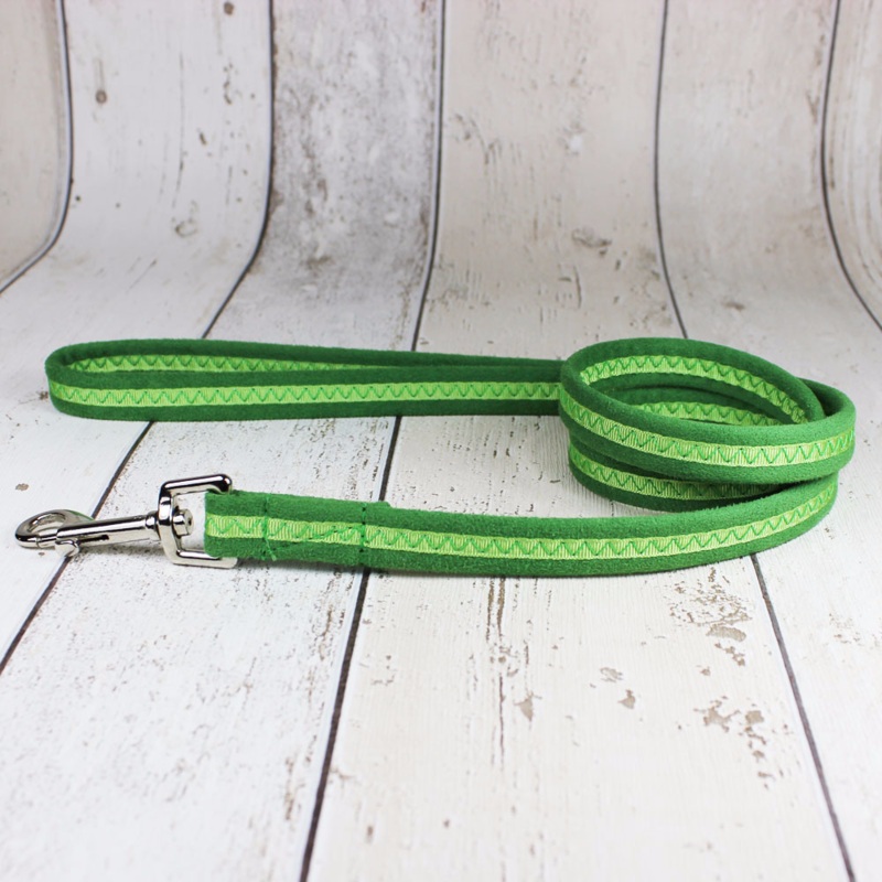 Green Oscar and Hooch Dog Lead