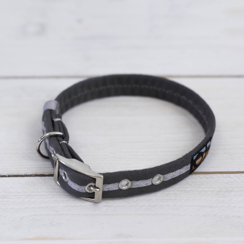 Grey Oscar and Hooch Dog Collar