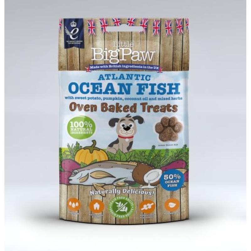 Little BigPaw Atlantic Ocean Fish Oven Baked Treats