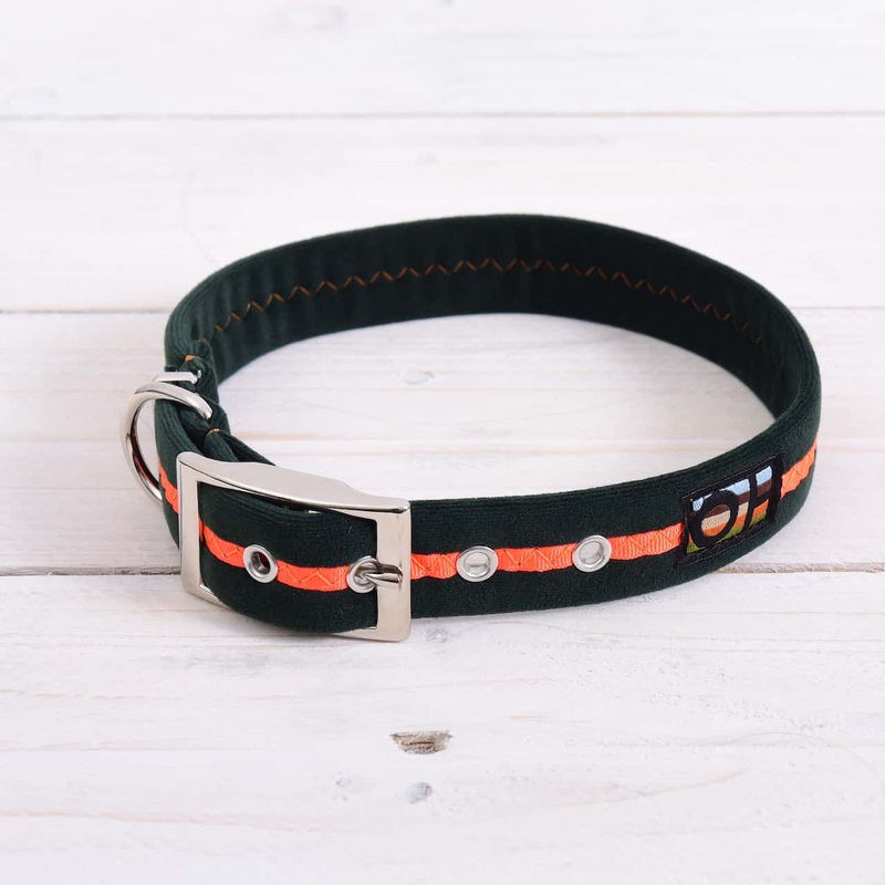 Neon Orange Oscar and Hooch Dog Collar