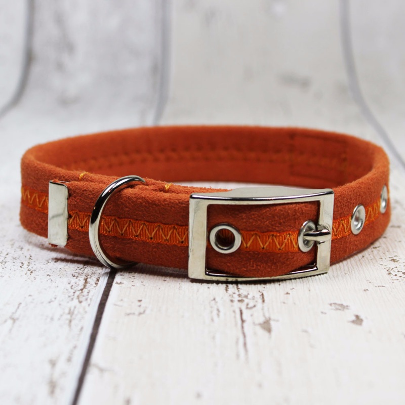 Orange Oscar and Hooch Dog Collar