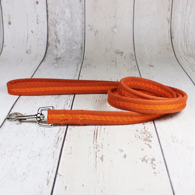 Orange Oscar and Hooch Dog Lead