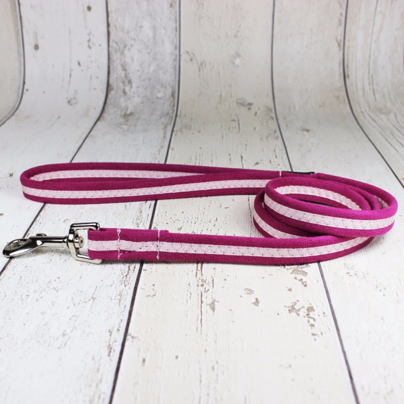 Pink Oscar and Hooch Dog Lead