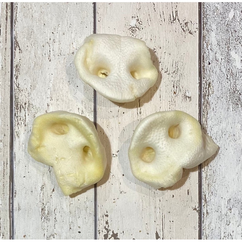 Puffed Porky Snouts Pack of 3