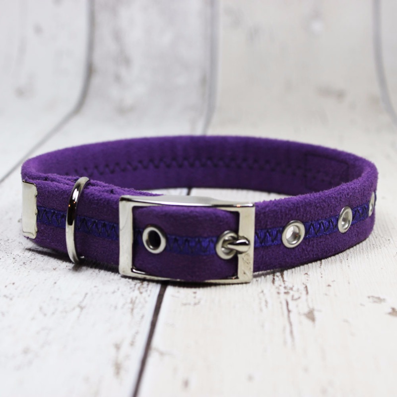 Purple Oscar and Hooch Dog Collar