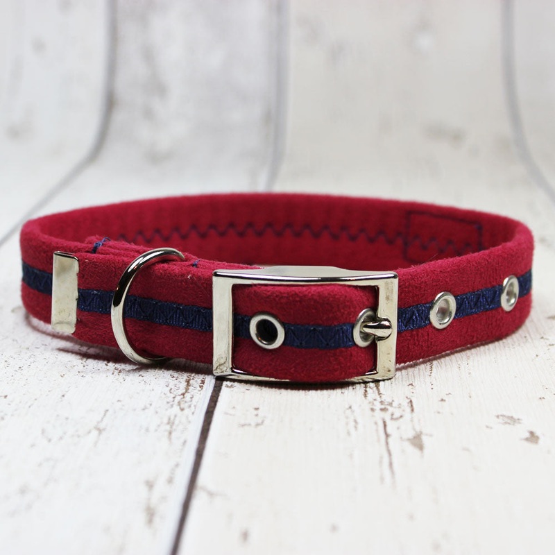 Red Oscar and Hooch Dog Collar
