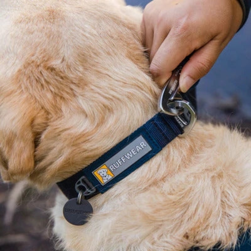 Ruffwear Front Range Dog Collar