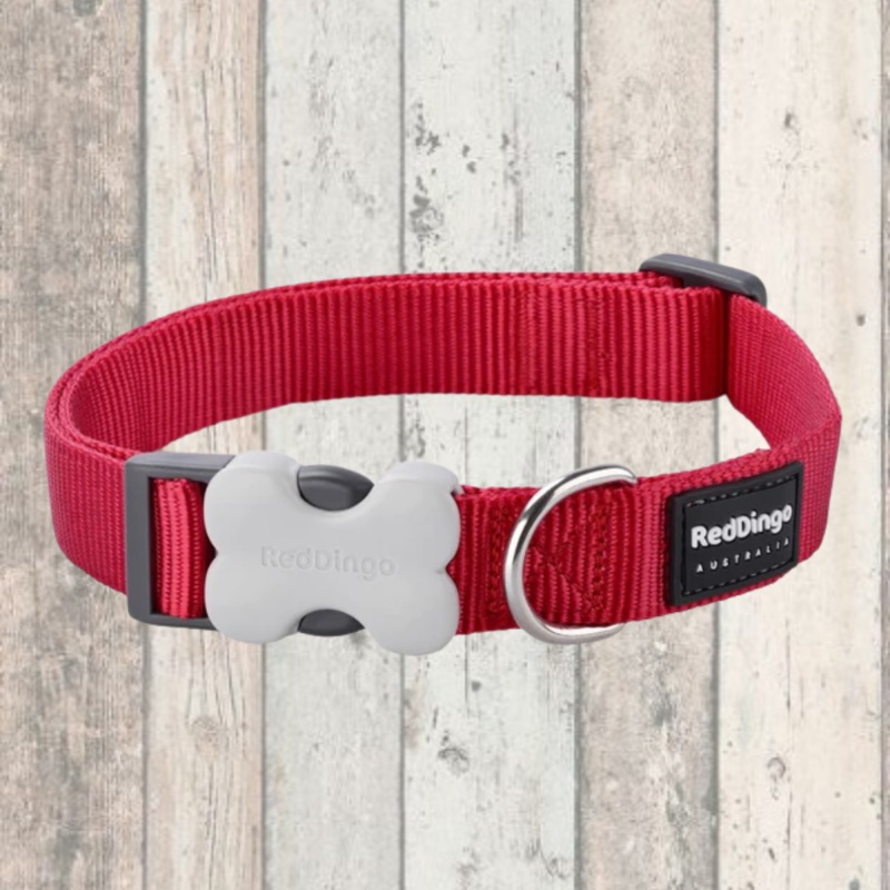 Simply Red Dog Collar by Red Dingo
