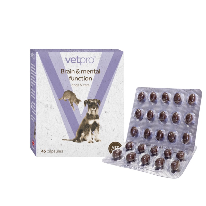 Vetpro Brain & Mental Function - 45 capsules