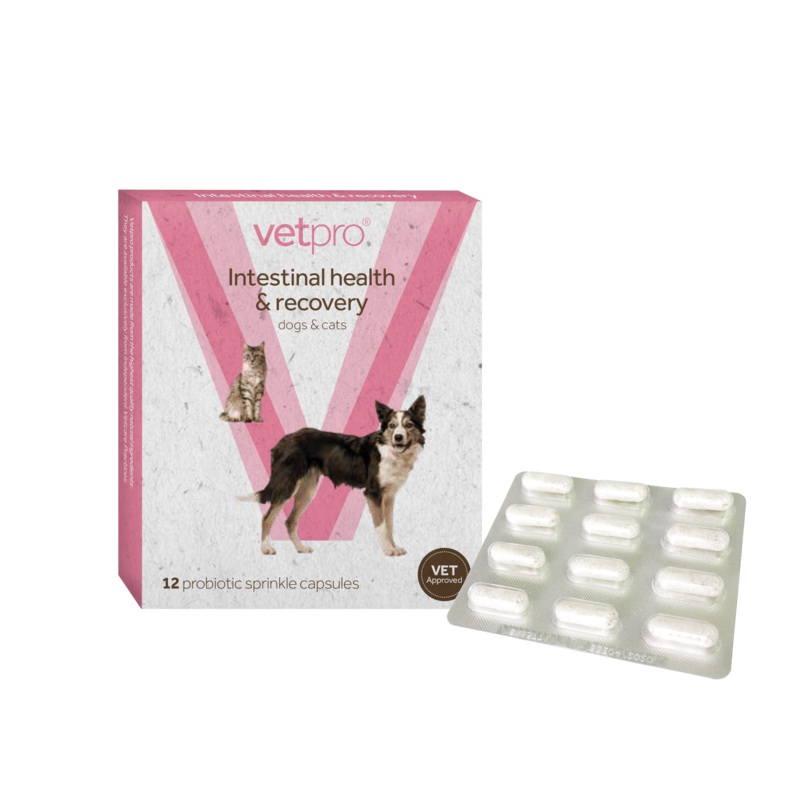 Vetpro Intestinal Health & Recovery - 12 capsules