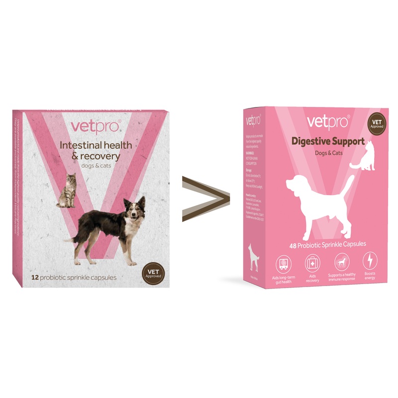 Vetpro Intestinal Health & Recovery - 48 capsules