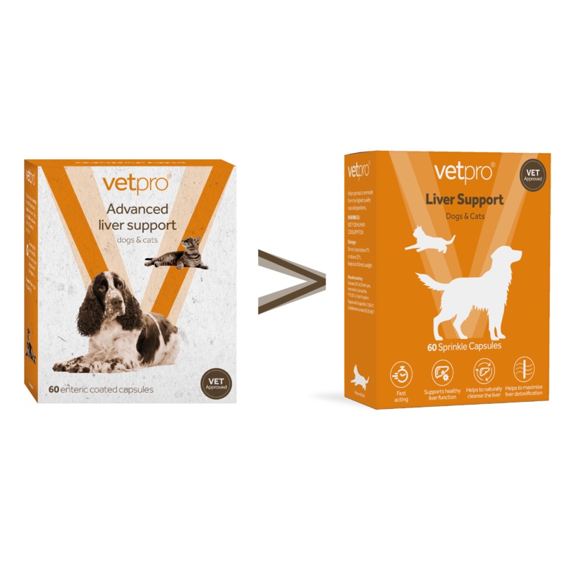 Vetpro Liver Support - 60 capsules