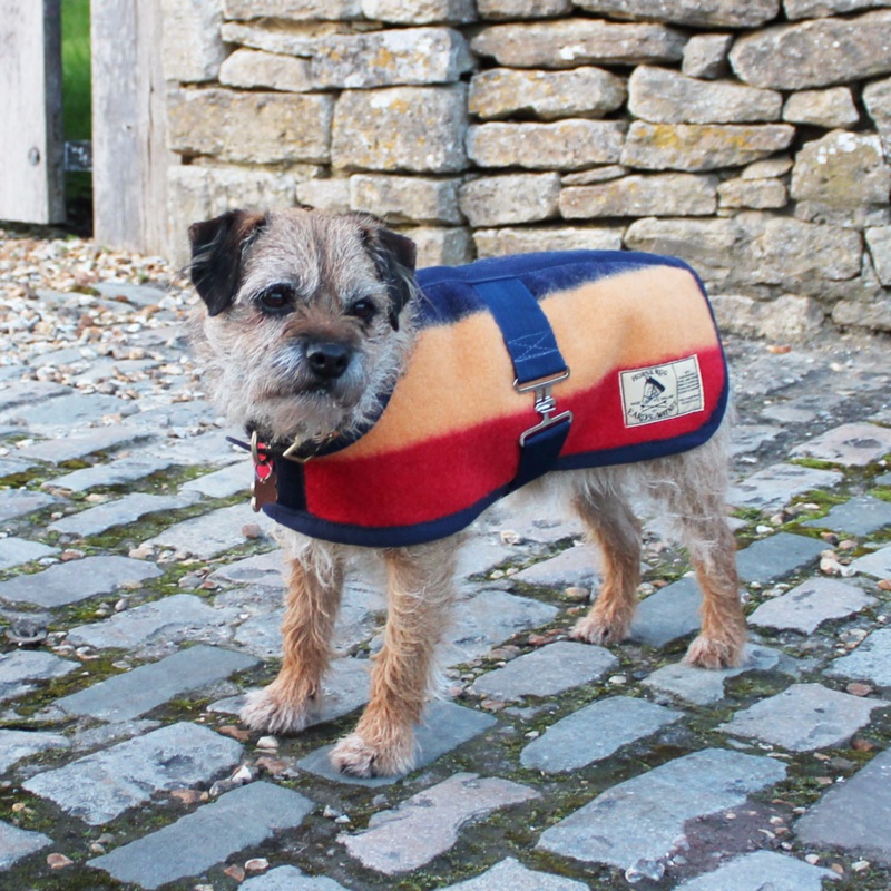 Witney Wool Dog Rug Coat in 6 Sizes
